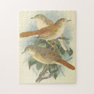 3 Vogels die op een Puzzle van de Tak worden vastg Legpuzzel