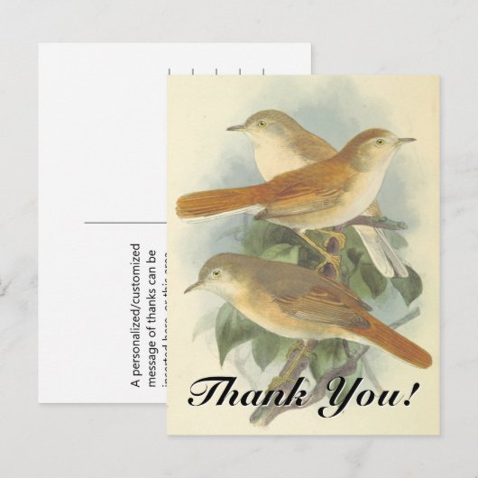 3 Vogels op een bijkantoor "Dank je!" Briefkaart (Voorkant / Achterkant)