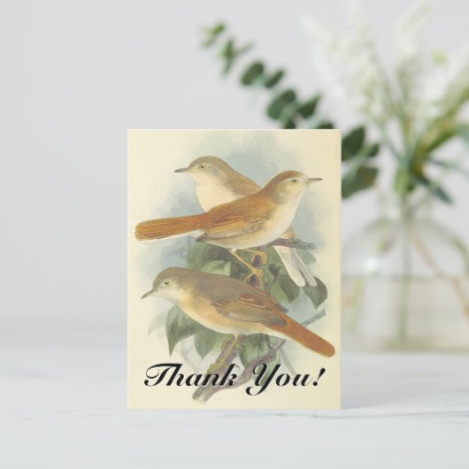 3 Vogels op een bijkantoor "Dank je!" Briefkaart (Staand voorkant)