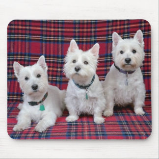 3 Westies Muismat