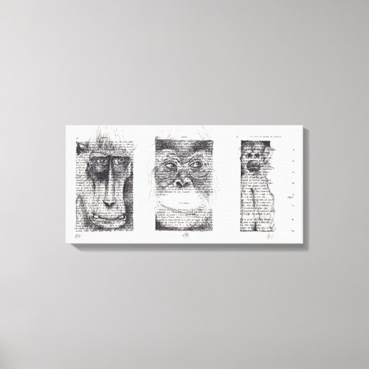 3 Wise-apen voor apenjaar 2016 Canvas (Voorkant)