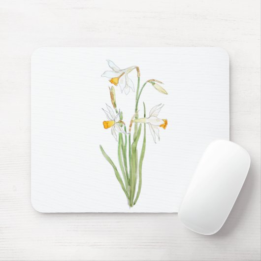 3 witte kleefstoffen in en waterverf muismat (Met muis)