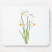 3 witte kleefstoffen in en waterverf muismat (Voorkant)