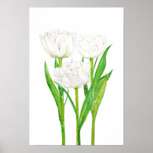 3 witte tulpen waterverf schilderen poster