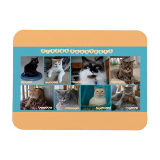 3 x 4 flexibele magneet