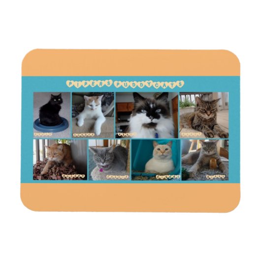 3 x 4 flexibele magneet (Horizontaal)