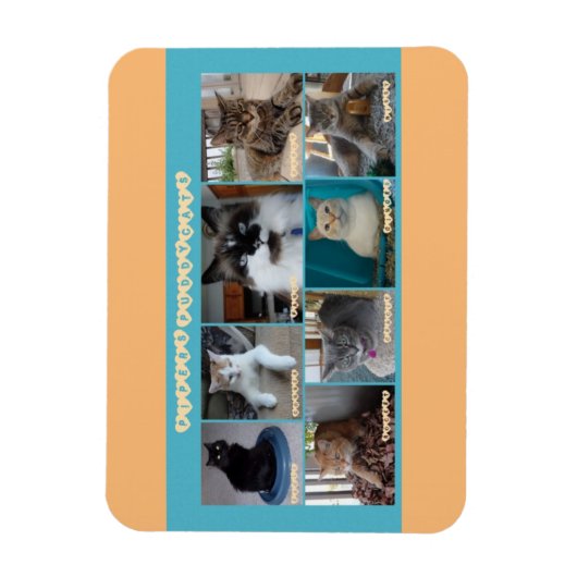 3 x 4 flexibele magneet (Verticaal)