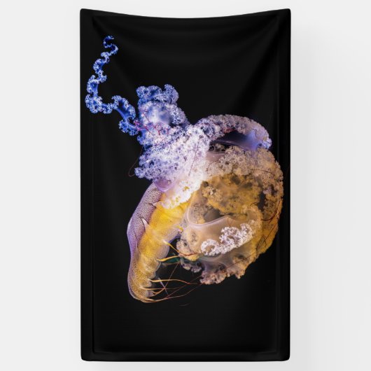 3' x 5' banner (Verticaal)