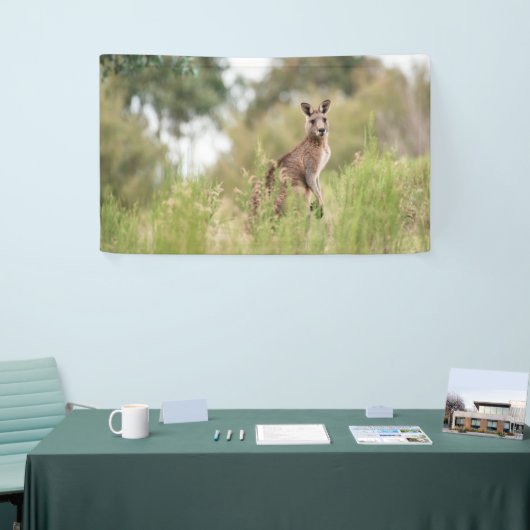 3' x 5' banner (Beurs)
