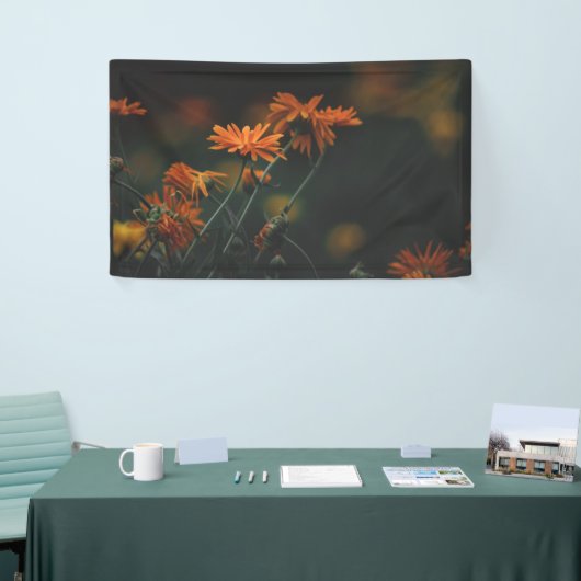 3' x 5' banner (Beurs)