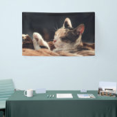 3' x 5' banner (Beurs)