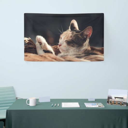3' x 5' banner (Beurs)