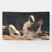 3' x 5' banner (Horizontaal)