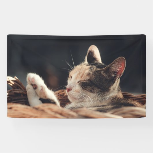 3' x 5' banner (Horizontaal)