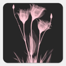 3 x Ray Flowers Wine Label