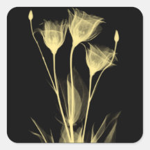 3 x Ray Flowers Wine Label
