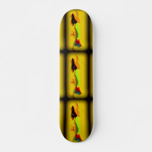 3 zeemannen skateboard