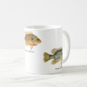 3 Zonnevis op een mok (Voorkant rechts)