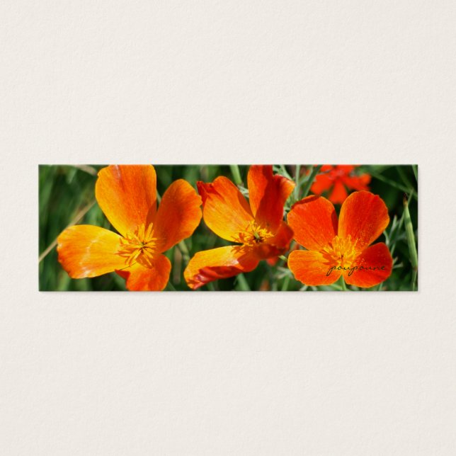 3 zussen bladwijzer mini visitekaartjes (Voorkant)