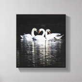 3 Zwanen en reflecties Canvas Afdruk (Voorkant)