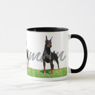 3 zwarte Doberman Pinschers met stamnaam Mok