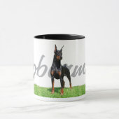 3 zwarte Doberman Pinschers met stamnaam Mok (Midden)