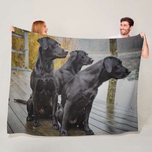 3 ZWARTE LABRADORSTTELS FLEECE DEKEN (In situ)