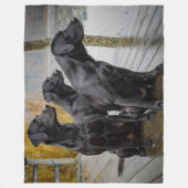 3 ZWARTE LABRADORSTTELS FLEECE DEKEN (Voorkant)