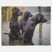 3 ZWARTE LABRADORSTTELS FLEECE DEKEN (Voorkant (Horizontaal))