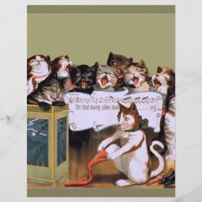3abgrappige katten  zingende katten leuk (Voorkant)