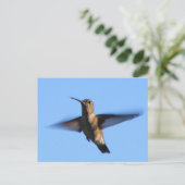 3aJ Hummingbird Flying in a Blue Sky Briefkaart (Staand voorkant)