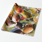 3D Abalone Kleurrijke Seashell Cadeaupapier (Uitgerold)