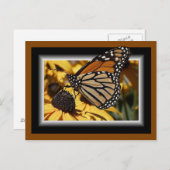 3D BUTTERFLES-BRIEFKAART BRIEFKAART (Voorkant / Achterkant)