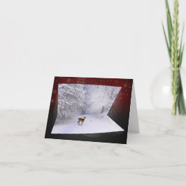 3D Illusie "SneeuwDromen " Feestdagen Kaart