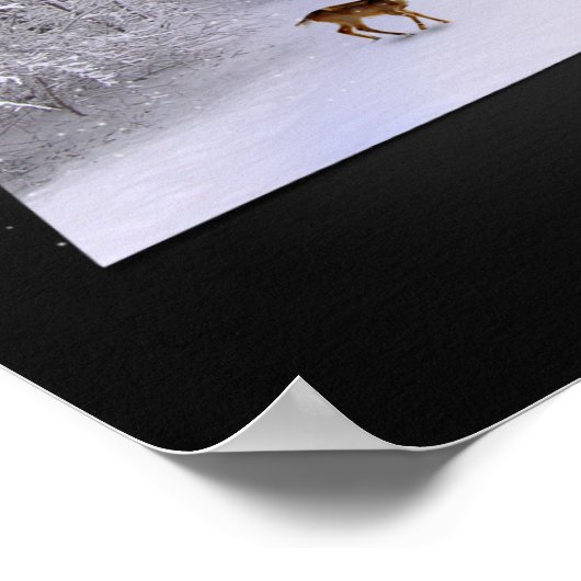 3D Illusion "Snowy Dreams" Poster (Hoek)