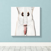 3D Illustratie van het mannelijke voortplantingssy Canvas Afdruk (Insitu (Houten vloer))