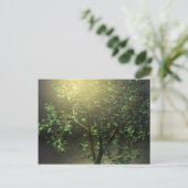 3D Japanse Maple Tree Briefkaart (Staand voorkant)