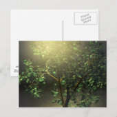 3D Japanse Maple Tree Briefkaart (Voorkant / Achterkant)