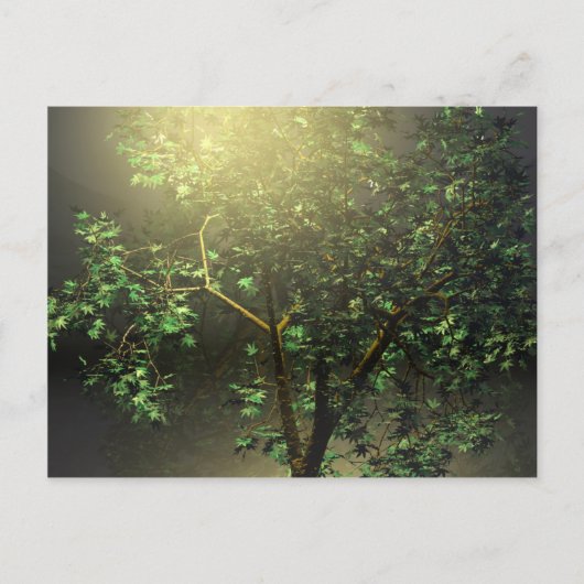 3D Japanse Maple Tree Briefkaart (Voorkant)