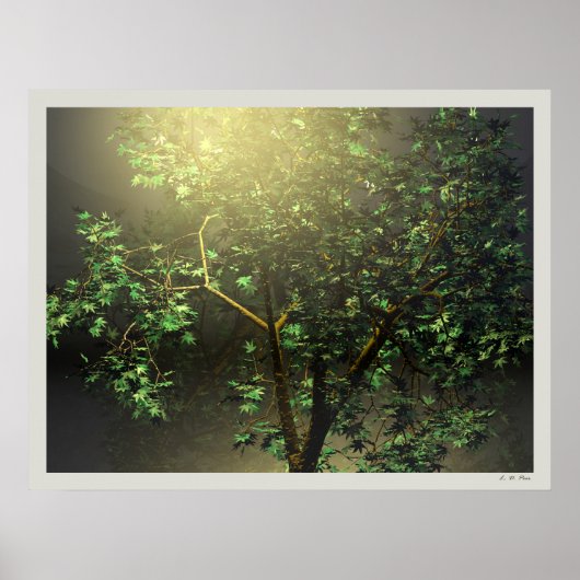 3D Japanse Maple Tree Poster (Voorkant)