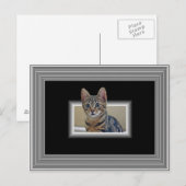 3D KAT BRIEFKAART (Voorkant / Achterkant)
