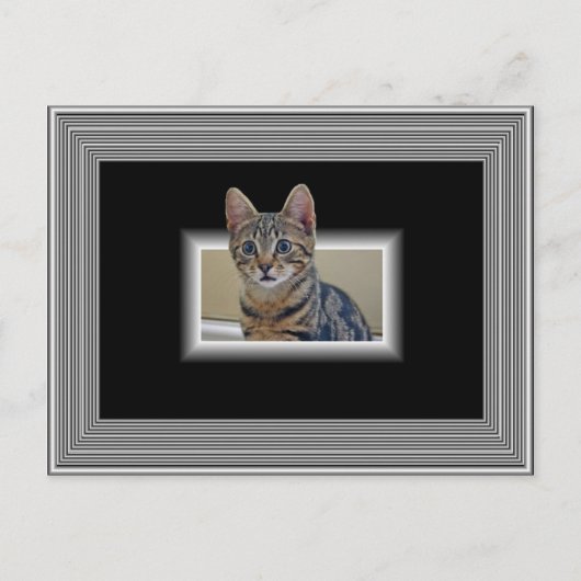 3D KAT BRIEFKAART (Voorkant)
