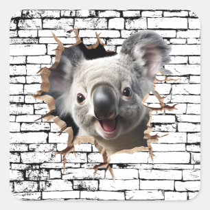 3D Koala Muurbreuk Kunst – Realistisch Safari Vierkante Sticker