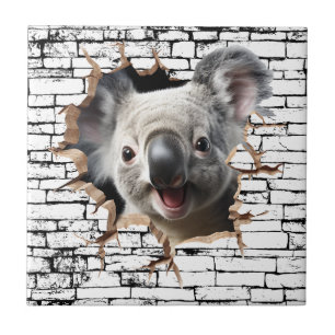 3D Koala Wandbreekkunst – Realistische Safari Tegeltje