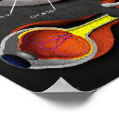 3D Kruissectie van het menselijk oog + Legend Poster (Hoek)