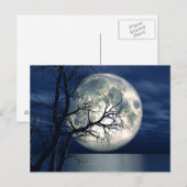 3D Landschapsachtergrond met maan over het Zee Briefkaart (Voorkant / Achterkant)