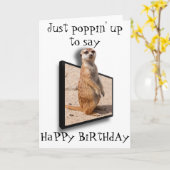 3D Meerkat | Gewoon opduiken om te zeggen.. Elke g Kaart (Gele Bloem)