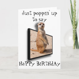 3D Meerkat | Gewoon opduiken om te zeggen.. Elke g Kaart