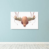 3d model van het voortplantingssysteem van het vro canvas afdruk (Insitu (Houten vloer))