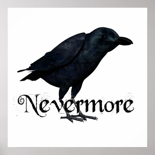 3D Nevermore Raven Poster (Voorkant)
